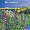 Düngelupinen (5 Kg) | Gründünger Von Kiepenkerl 1 Düngelupinen (5 Kg) | Gründünger Von Kiepenkerl -Pegasus Verkaufe 3614 Duengelupinen 5 kg 615069 0