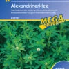 Alexandrinerklee (1 Kg) | Gründünger Von Kiepenkerl -Pegasus Verkaufe 528743 Alexandrinerklee 1 kg 615137 0