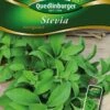 Stevia Süßkraut | Steviasamen Von Quedlinburger 2 Stevia Süßkraut | Steviasamen Von Quedlinburger -Pegasus Verkaufe 532042 Stevia Suesskraut von Quedlinburger Saatgut