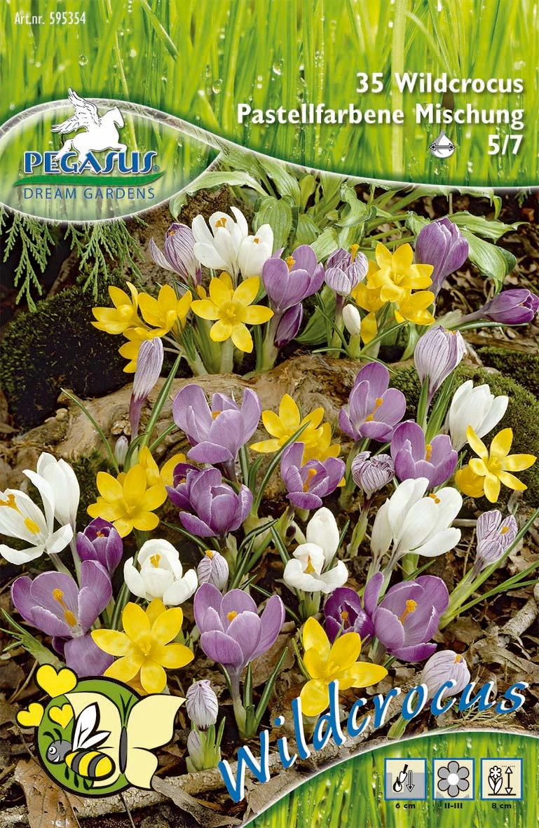 Wildkrokus Mischung Pastellfarben (35 Stück) | Krokuszwiebeln Von Pegasus 3 Wildkrokus Mischung Pastellfarben (35 Stück) | Krokuszwiebeln Von Pegasus