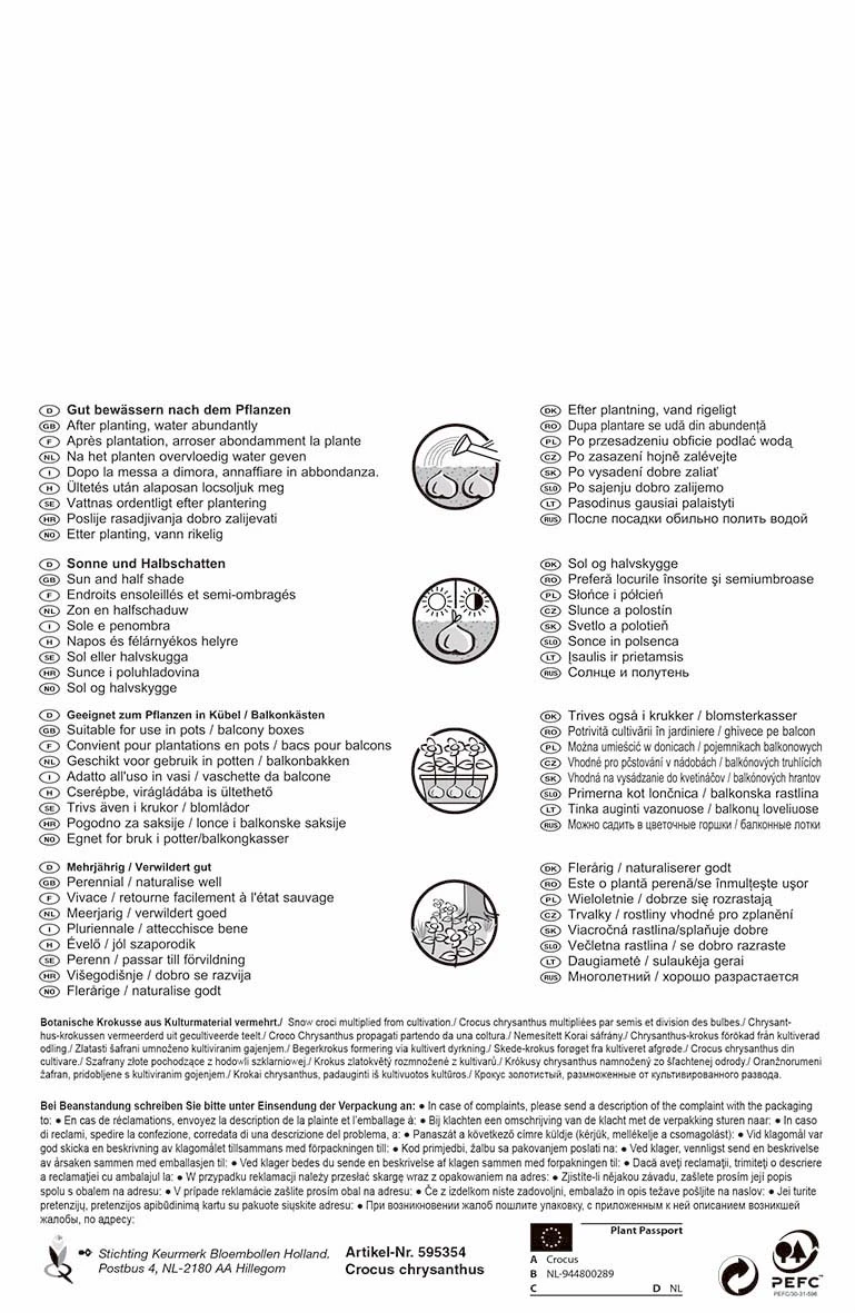 Wildkrokus Mischung Pastellfarben (35 Stück) | Krokuszwiebeln Von Pegasus 4 Wildkrokus Mischung Pastellfarben (35 Stück) | Krokuszwiebeln Von Pegasus – Bild 2