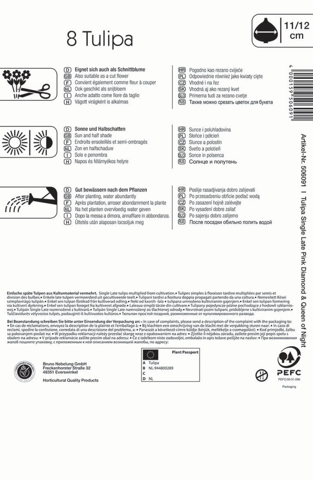 Einfache Späte Tulpe Candy Friends (8 Stück) | Tulpenzwiebeln Von Kiepenkerl 4 Einfache Späte Tulpe Candy Friends (8 Stück) | Tulpenzwiebeln Von Kiepenkerl – Bild 2