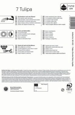 Mehrblütige Tulpen Aquilla (7 Stück) | Tulpenzwiebeln Von Kiepenkerl