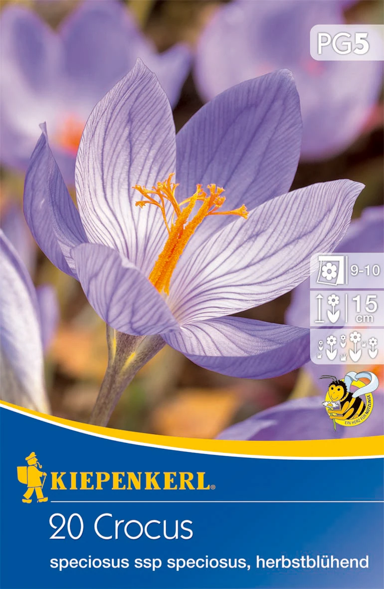 Pracht-Herbst-Krokus (20 Stück) | Krokuszwiebeln Von Kiepenkerl 4 Pracht-Herbst-Krokus (20 Stück) | Krokuszwiebeln Von Kiepenkerl – Bild 2