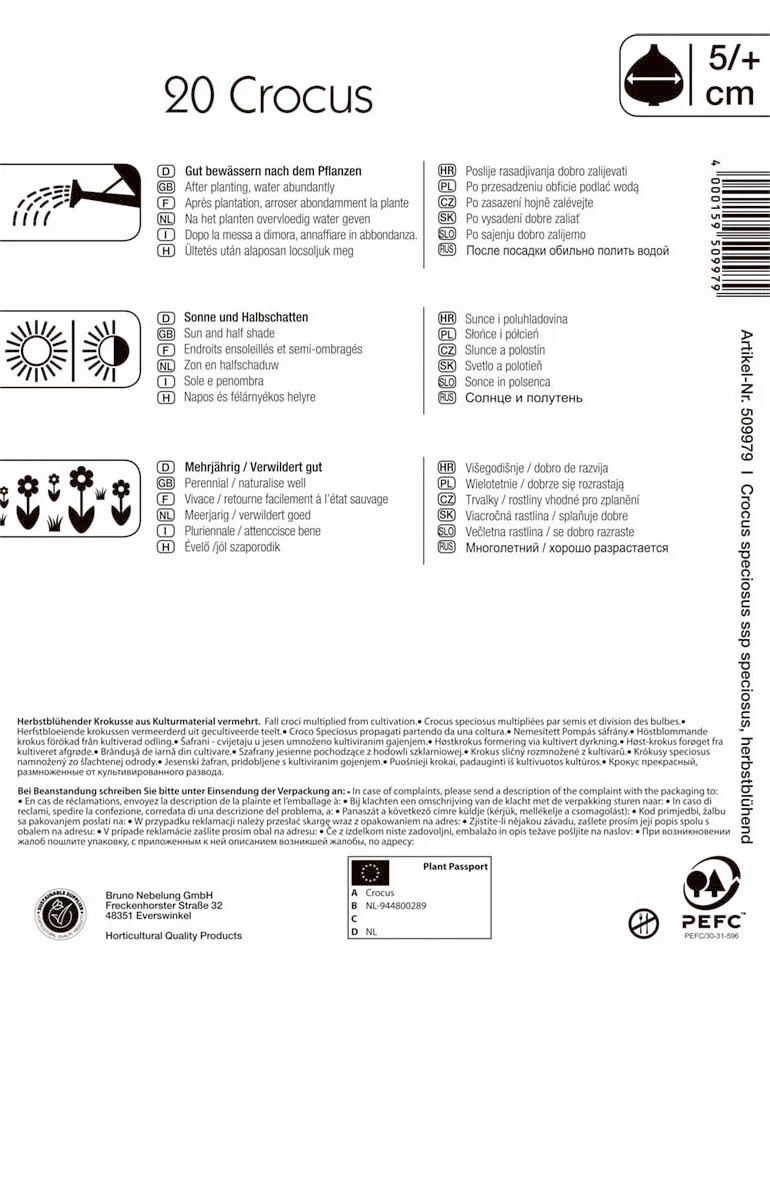 Pracht-Herbst-Krokus (20 Stück) | Krokuszwiebeln Von Kiepenkerl 3 Pracht-Herbst-Krokus (20 Stück) | Krokuszwiebeln Von Kiepenkerl
