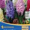Mega-Pack Hyazinthe Mischung (9 Stück) | Hyazinthenzwiebeln Von Kiepenkerl -Pegasus Verkaufe 533578 Mega Pack Hyazinthe Mischung 9 Stueck 508798 0