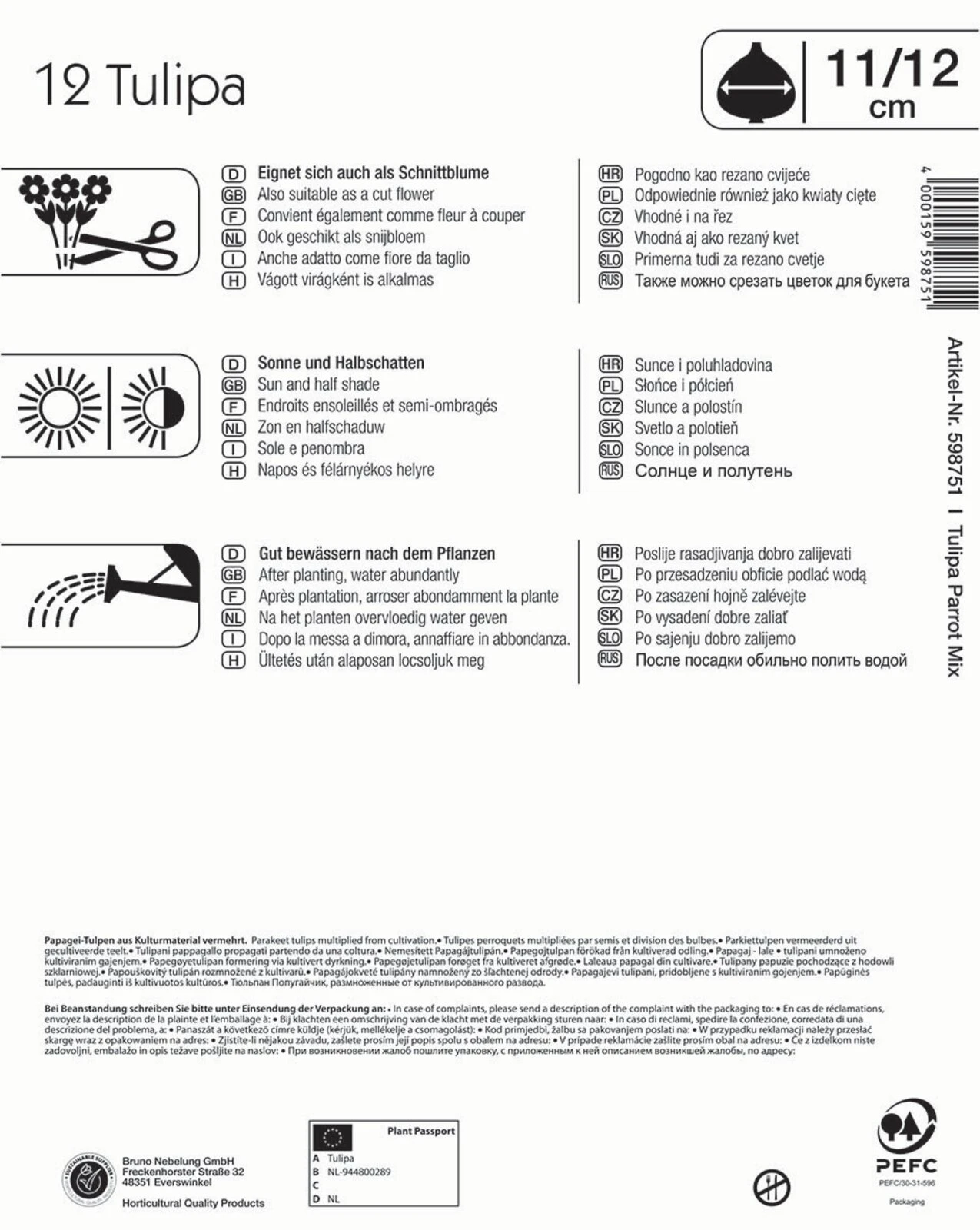 Mega-Pack Papagei Tulpe Papageien Mischung (12 Stück) | Tulpenzwiebeln Von Kiepenkerl 4 Mega-Pack Papagei Tulpe Papageien Mischung (12 Stück) | Tulpenzwiebeln Von Kiepenkerl – Bild 2