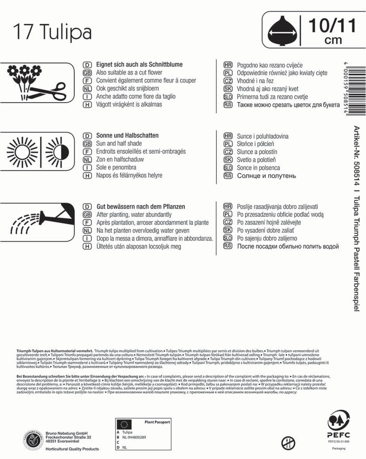 Mega-Pack Triumph-Tulpe Pastell Farbenspiel (17 Stück) | Tulpenzwiebeln Von Kiepenkerl 4 Mega-Pack Triumph-Tulpe Pastell Farbenspiel (17 Stück) | Tulpenzwiebeln Von Kiepenkerl – Bild 2