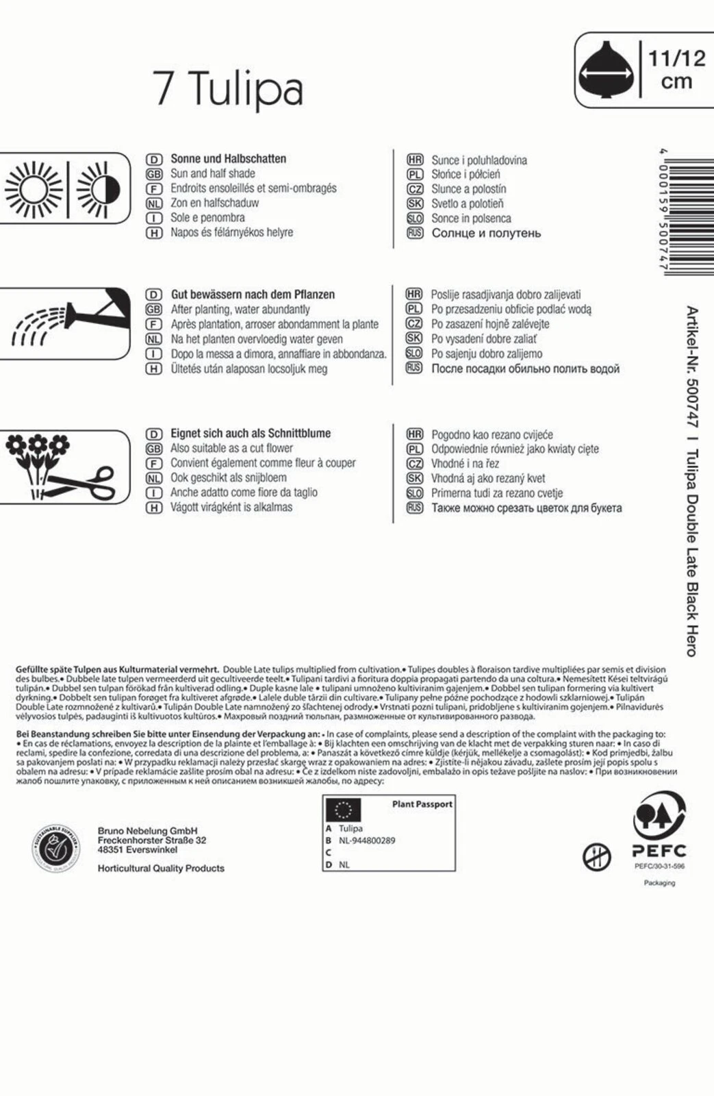 Gefüllte Späte Tulpe Black Hero (7 Stück) | Tulpenzwiebeln Von Kiepenkerl 3 Gefüllte Späte Tulpe Black Hero (7 Stück) | Tulpenzwiebeln Von Kiepenkerl – Bild 2