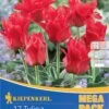 Mega-Pack Greigii-Tulpe Rotkäppchen (17 Stück) | Tulpenzwiebeln Von Kiepenkerl -Pegasus Verkaufe 533619 Mega Pack Greigii Tulpe Rotkaeppchen 17 Stueck 508699 0