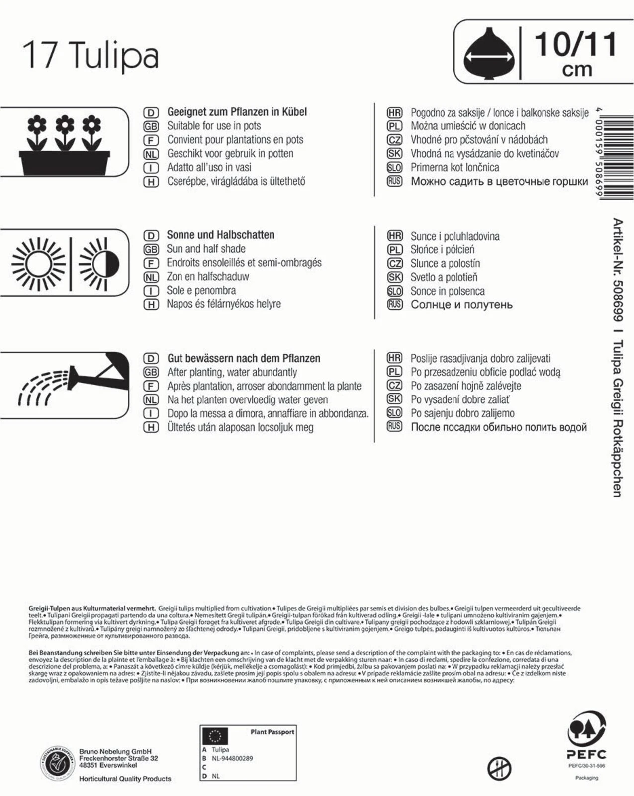 Mega-Pack Greigii-Tulpe Rotkäppchen (17 Stück) | Tulpenzwiebeln Von Kiepenkerl 4 Mega-Pack Greigii-Tulpe Rotkäppchen (17 Stück) | Tulpenzwiebeln Von Kiepenkerl – Bild 2