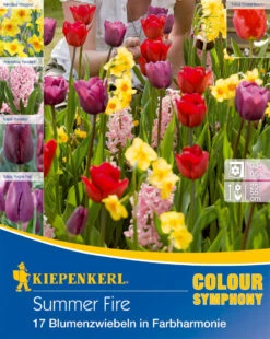 Colour Symphony Summer Fire (17 Stück) | Blumenzwiebelmischungen Von Kiepenkerl