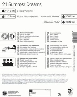 Colour Symphony Summer Dreams (21 Stück) | Blumenzwiebelmischungen Von Kiepenkerl