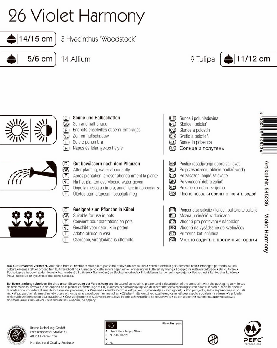 Colour Symphony Violet Harmony (26 Stück) | Blumenzwiebelmischungen Von Kiepenkerl 4 Colour Symphony Violet Harmony (26 Stück) | Blumenzwiebelmischungen Von Kiepenkerl – Bild 2