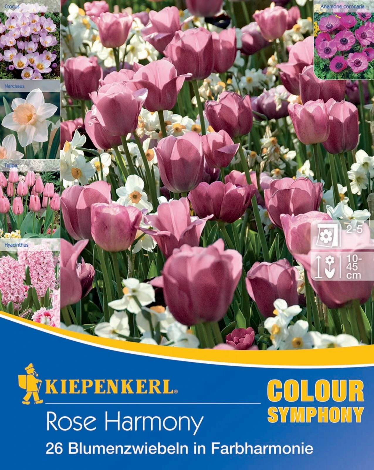 Colour Symphony Rose Harmony (26 Stück) | Blumenzwiebelmischungen Von Kiepenkerl 4 Colour Symphony Rose Harmony (26 Stück) | Blumenzwiebelmischungen Von Kiepenkerl – Bild 2