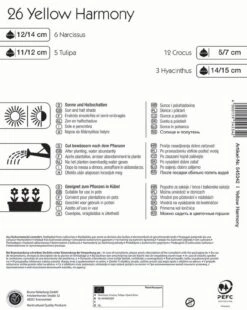 Colour Symphony Yellow Harmony (26 Stück) | Blumenzwiebelmischungen Von Kiepenkerl