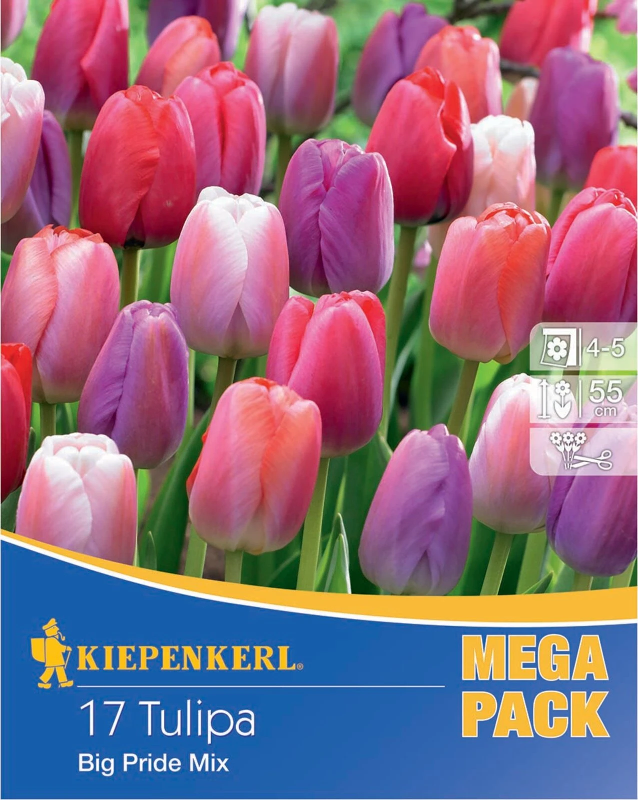 Mega-Pack Darwin-Hybrid-Tulpe Big Pride Mischung (17 Stück) | Tulpenzwiebeln Von Kiepenkerl 3 Mega-Pack Darwin-Hybrid-Tulpe Big Pride Mischung (17 Stück) | Tulpenzwiebeln Von Kiepenkerl