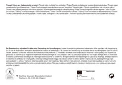 Triumph Tulpe Mix Big Bag (40 Stück) | Tulpenzwiebeln Von Pegasus