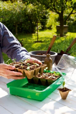 5 X 5 Cm Anzuchttopf Quadratisch (144 Stück) | Anzuchttöpfe Von Romberg
