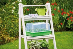 Gewächshaus M | Zimmergewächshaus Von Romberg -Pegasus Verkaufe 535231 Gewaechshaus M 10094102 1