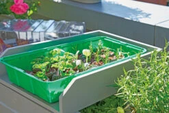 Anzuchthaus M PLUS | Mini-Gewächshaus Von Romberg -Pegasus Verkaufe 535236 Anzuchthaus M PLUS 10094202 2