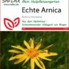 Echte Arnica | Heilpflanzensamen Von Saflax -Pegasus Verkaufe 535650 Echte Arnica 15202 sa 0