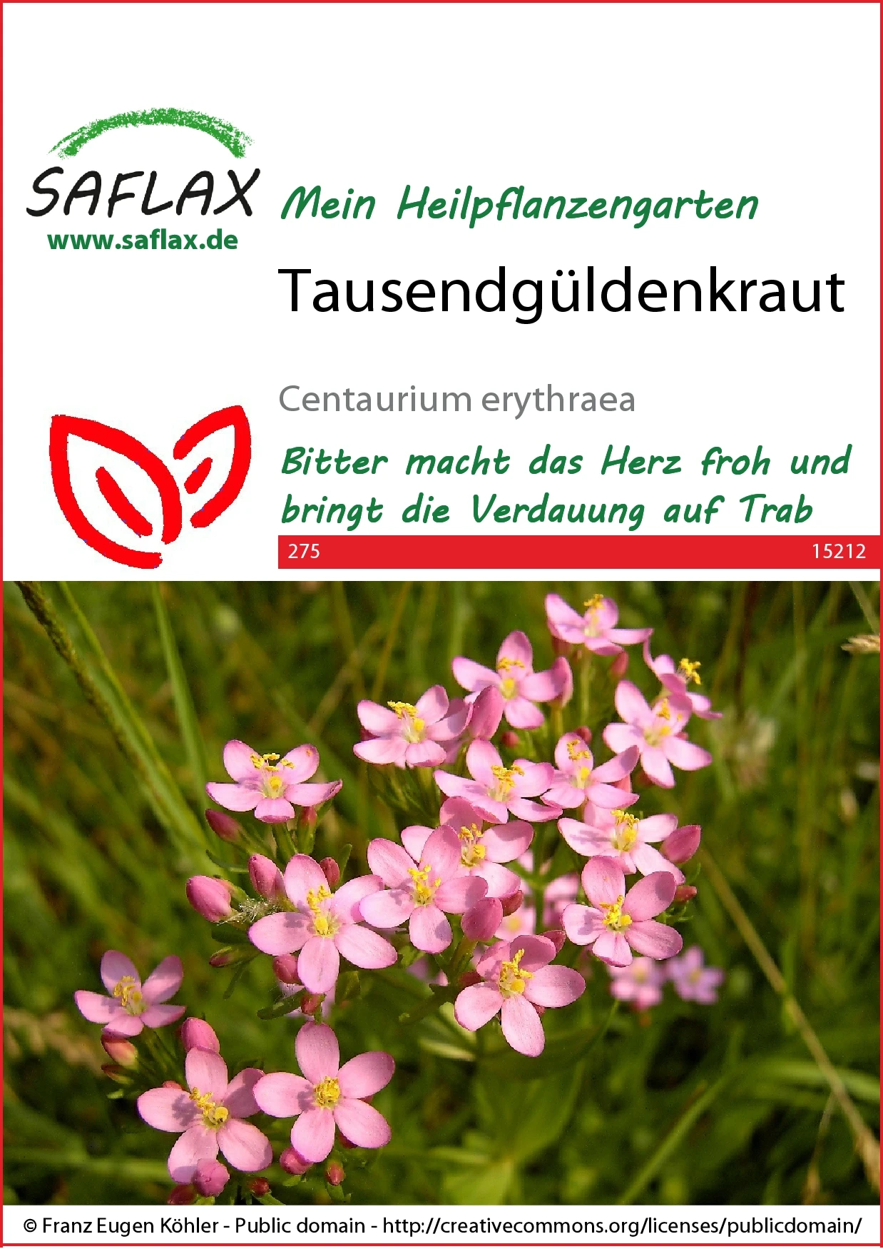 Tausendgüldenkraut | Heilpflanzensamen Von Saflax 3 Tausendgüldenkraut | Heilpflanzensamen Von Saflax