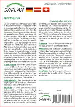 Spitzwegerich | Heilpflanzensamen Von Saflax