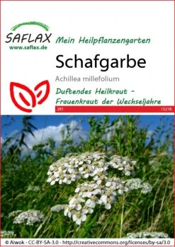 Schafgarbe | Blumensamen Von Saflax -Pegasus Verkaufe 535666 Schafgarbe 15218 sa 0