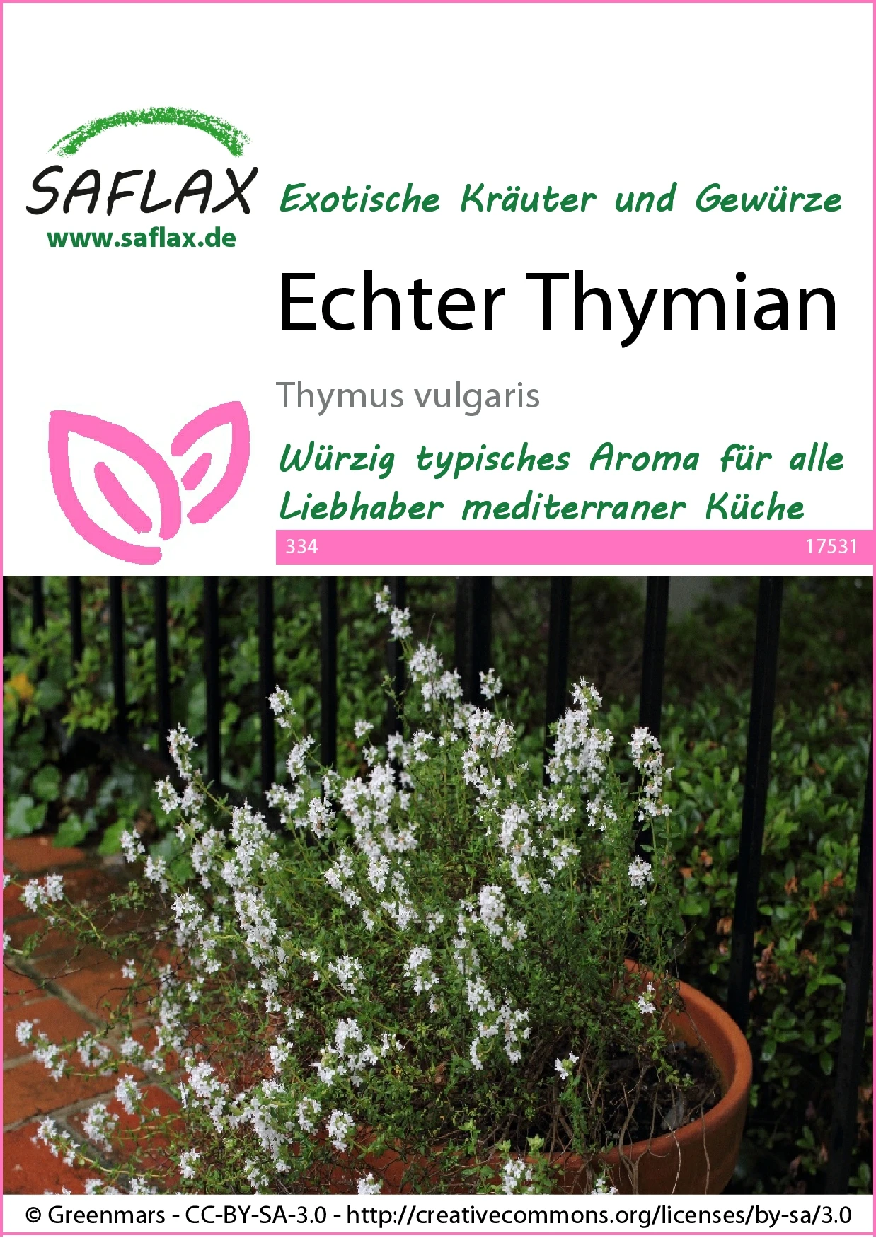 Echter Thymian | Thymiansamen Von Saflax 4 Echter Thymian | Thymiansamen Von Saflax – Bild 2