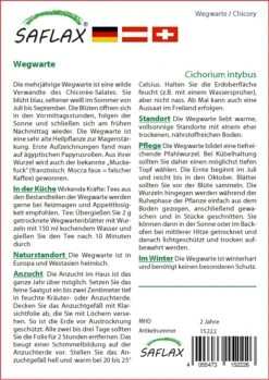 Wegwarte | Heilpflanzensamen Von Saflax 5 Wegwarte | Heilpflanzensamen Von Saflax -Pegasus Verkaufe 535670 Wegwarte 15222 sa 1