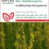 Großblumige Königskerze | Heilpflanzensamen Von Saflax -Pegasus Verkaufe 535671 Grossblumige Koenigskerze 15223 sa 0