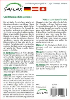 Großblumige Königskerze | Heilpflanzensamen Von Saflax -Pegasus Verkaufe 535671 Grossblumige Koenigskerze 15223 sa 1