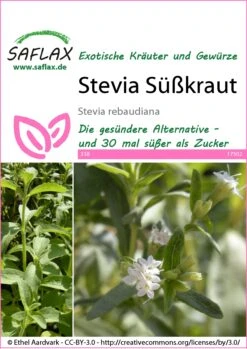 Süßkraut Stevia | Steviasamen Von Saflax -Pegasus Verkaufe 535676 Suesskraut Stevia 17502 sa 0