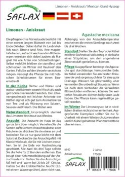 Limonen-Aniskraut | Anissamen Von Saflax -Pegasus Verkaufe 535681 Limonen Aniskraut 17509 sa 1