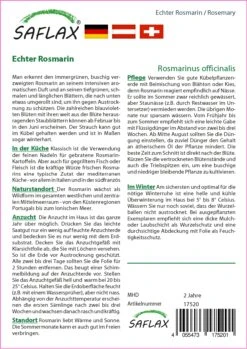 Echter Rosmarin | Rosmarinsamen Von Saflax 5 Echter Rosmarin | Rosmarinsamen Von Saflax -Pegasus Verkaufe 535688 Echter Rosmarin 17520 sa 1