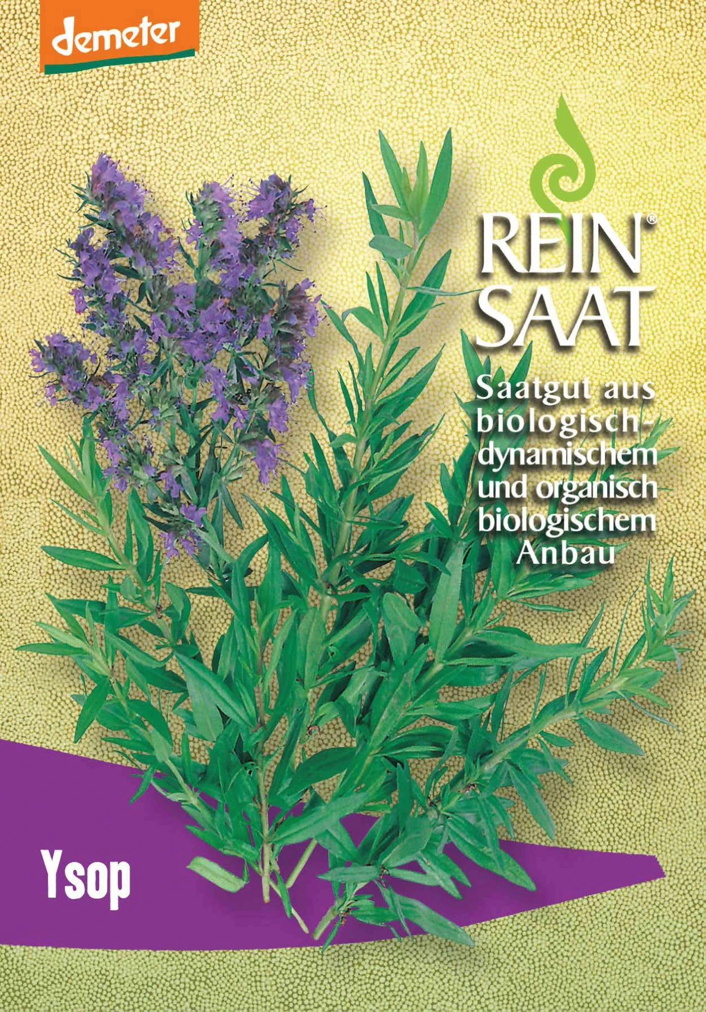 Ysop | BIO Kräutersamen Von Reinsaat 3 Ysop | BIO Kräutersamen Von Reinsaat