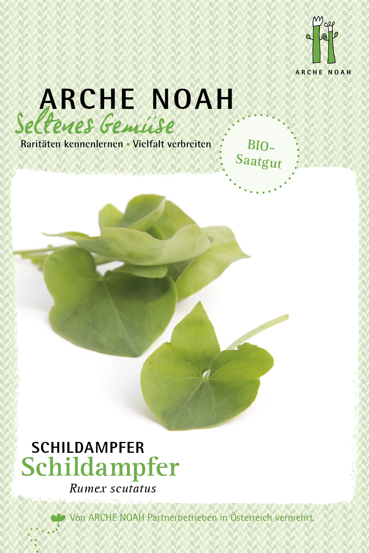 Schildampfer | BIO Schildampfersamen Von Arche Noah 3 Schildampfer | BIO Schildampfersamen Von Arche Noah