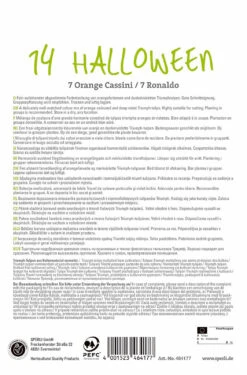 Pegasus Verkaufe -Pegasus Verkaufe 538013 Tulpe Halloween 14 Stueck 464177 1