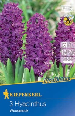 Pegasus Verkaufe -Pegasus Verkaufe 538070 Hyazinthe Woodstock 3 Stueck 500099 0