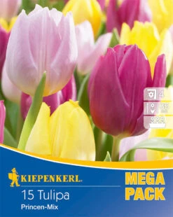 Mega-Pack Einfache Frühe Tulpe Princen Mischung (15 Stück) | Tulpenzwiebeln Von Kiepenkerl