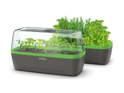 BoQube Gewächshaus &amp; Pflanzkasten L Anthrazit-grün | Zimmergewächshäuser Von Romberg -Pegasus Verkaufe 539702 BoQube Gewaechshaus Farbe anthrazit gru 5