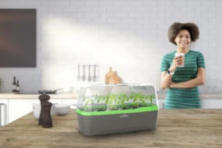 BoQube Gewächshaus &amp; Pflanzkasten L Anthrazit-grün | Zimmergewächshäuser Von Romberg -Pegasus Verkaufe 539702 BoQube Gewaechshaus Farbe anthrazit gru 6