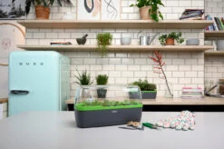 BoQube Gewächshaus &amp; Pflanzkasten L Anthrazit-grün | Zimmergewächshäuser Von Romberg -Pegasus Verkaufe 539702 BoQube Gewaechshaus Farbe anthrazit gru 7