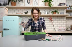 BoQube Gewächshaus &amp; Pflanzkasten L Anthrazit-grün | Zimmergewächshäuser Von Romberg -Pegasus Verkaufe 539702 BoQube Gewaechshaus Farbe anthrazit gru 8