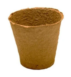 11 X 11 Cm Anzuchttopf Rund (480 Stück) | Anzuchttöpfe Von Fertil 7 11 X 11 Cm Anzuchttopf Rund (480 Stück) | Anzuchttöpfe Von Fertil -Pegasus Verkaufe 539759 11 x 11 cm Anzuchttoepfe rund 480 Stueck 519 C 0