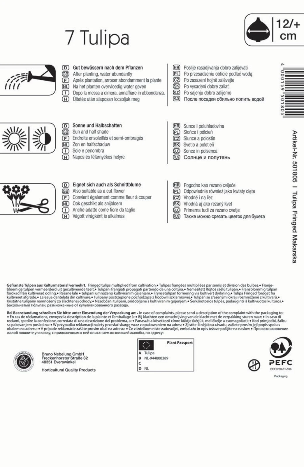 Gefranste Tulpe Makarska (7 Stück) | Tulpenzwiebeln Von Kiepenkerl 4 Gefranste Tulpe Makarska (7 Stück) | Tulpenzwiebeln Von Kiepenkerl – Bild 2