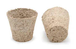 6 Cm Anzuchttopf Kokos Rund (2592 Stück) | Anzuchttöpfe Von Jiffy -Pegasus Verkaufe 542628 6 cm Anzuchttopf aus Kokos rund 2592 Stueck 30812200 jf 0