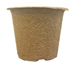 7 X 10,5 Cm Anzuchttopf NT Rund (800 Stück) | Anzuchttöpfe Von Fertil -Pegasus Verkaufe 548139 7 x 10 5 cm Anzuchttoepfe rund 800 Stueck 591 C1 1