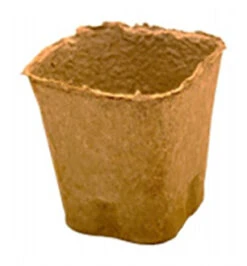 9 X 9 Cm Anzuchttopf Quadratisch (740 Stück) | Anzuchttöpfe Von Fertil -Pegasus Verkaufe 548151 9 x 9 cm Anzuchttoepfe quadratisch 740 Stueck 512 C 0